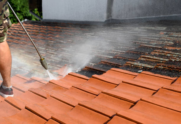 Best House Pressure Washing  in Homer, LA
