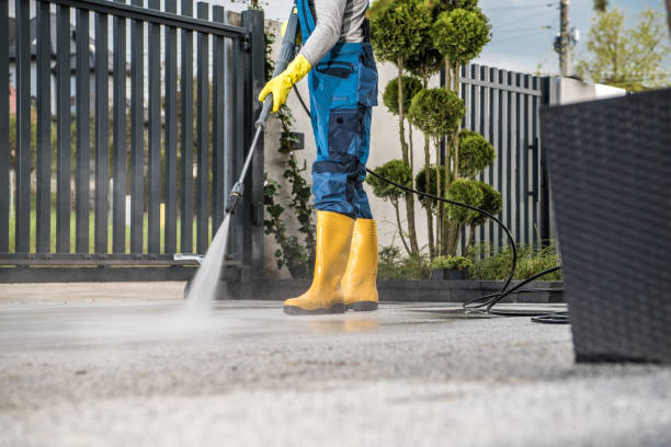 Best Roof Power Washing Services  in Homer, LA